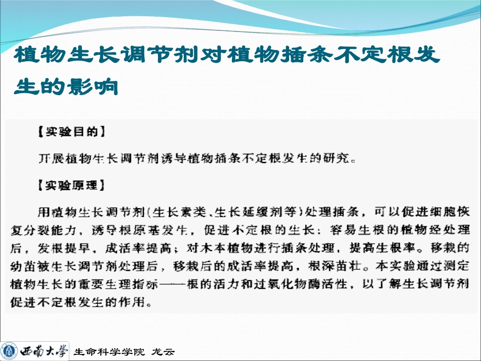 生长调节剂与不定根_第2页