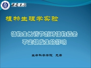 生长调节剂与不定根