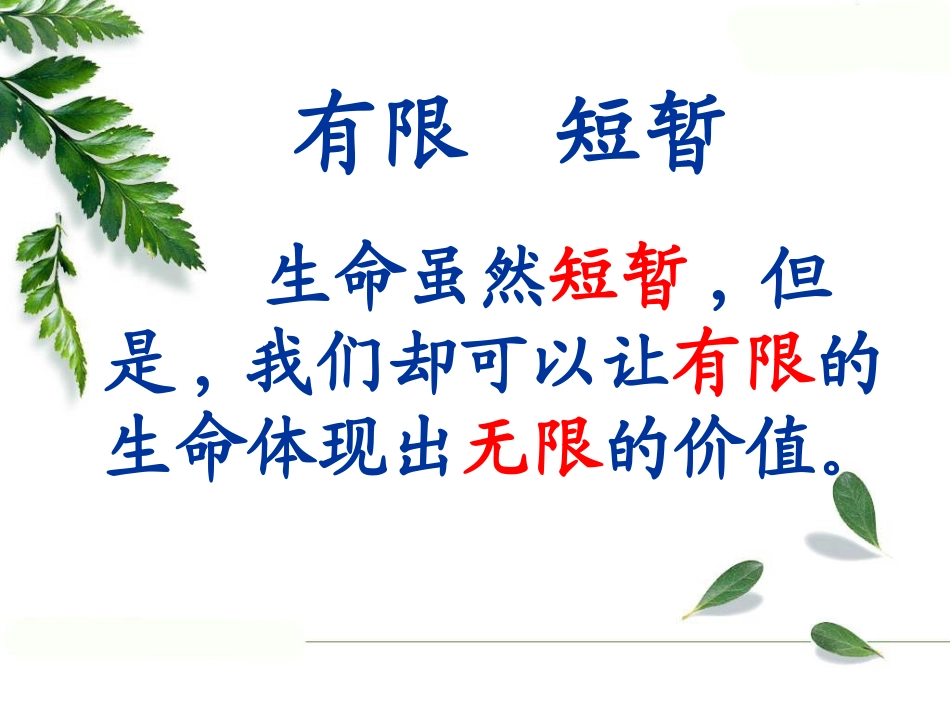 朱艳春--生命生命_第3页