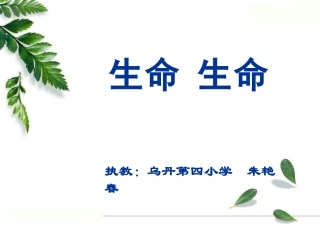 朱艳春--生命生命