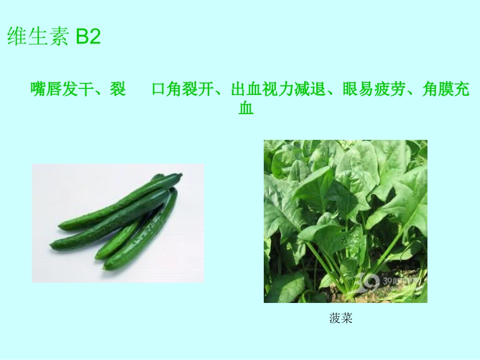 中班健康活动：蔬菜我最爱_第3页