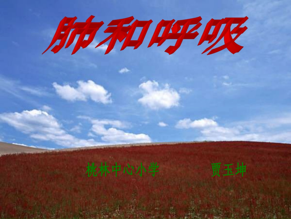 苏教版五年级科学上册《肺和呼吸》_第1页