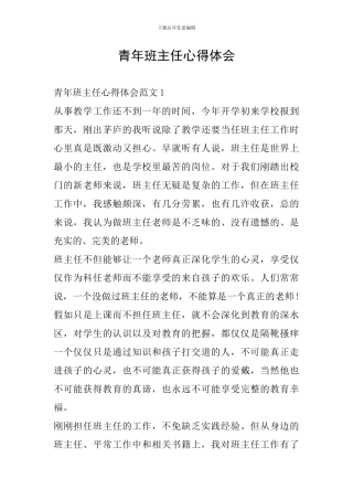 青年班主任心得体会