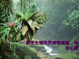 生物必修1科学家访谈