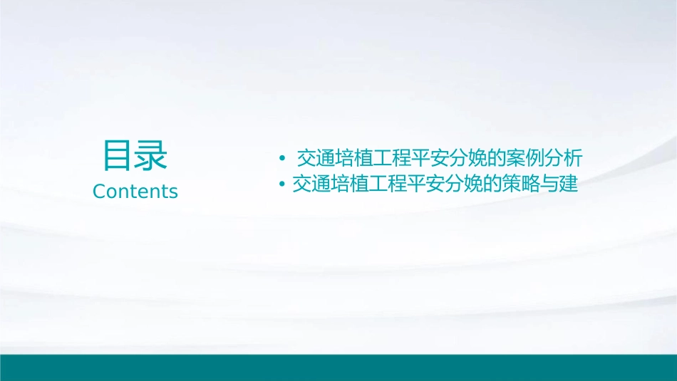 优质文档]交通培植工程平安分娩形式剖析课件1_第2页