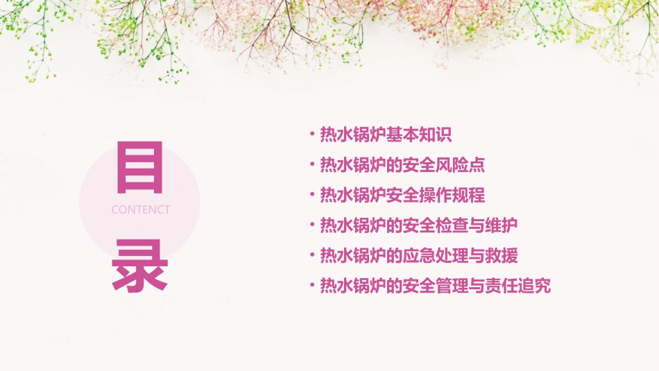 热水锅炉安全操作规程课件_第2页
