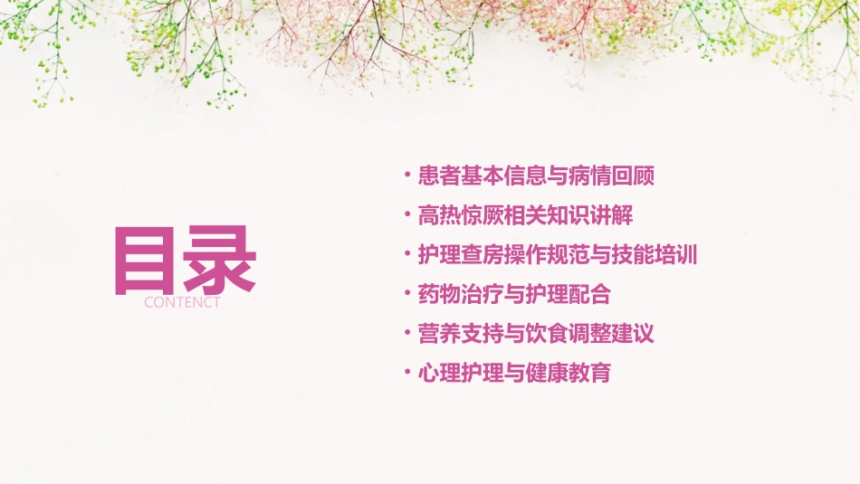 儿科高热惊厥患者护理查房课件 (2)_第2页