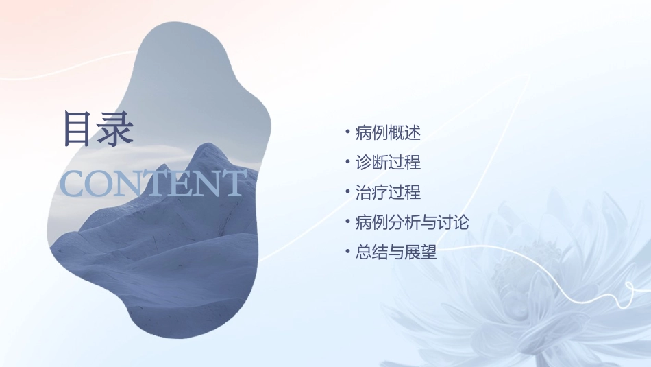 贝那普利主动脉瓣关闭不全病例课件_第2页