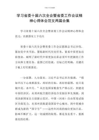 学习省委十届六次全会暨省委工作会议精神心得体会范文两篇合集
