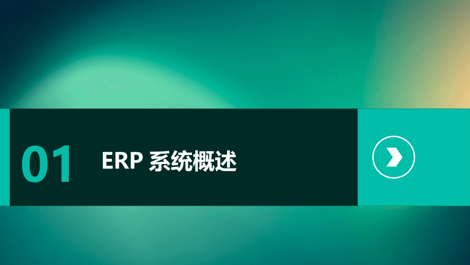 ERP系统应用 基础信息设置财务信息设置护理课件_第3页
