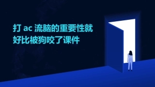 打AC流脑的重要性就好比被狗咬了课件
