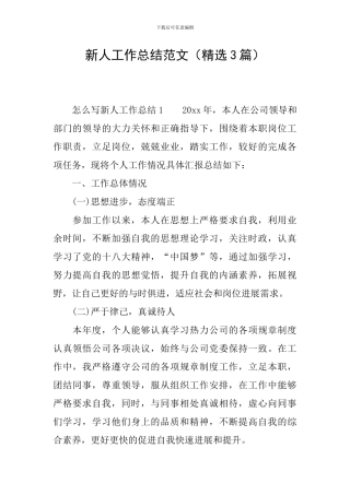 新人工作总结范文