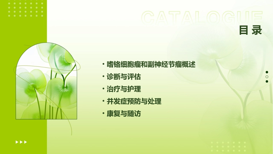 嗜铬细胞瘤和副神经节瘤查房护理课件_第2页