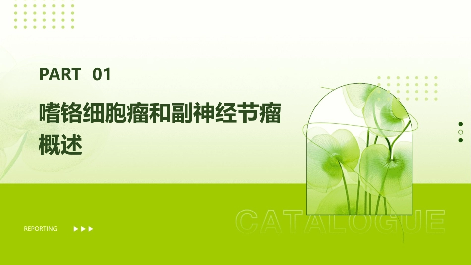 嗜铬细胞瘤和副神经节瘤查房护理课件_第3页