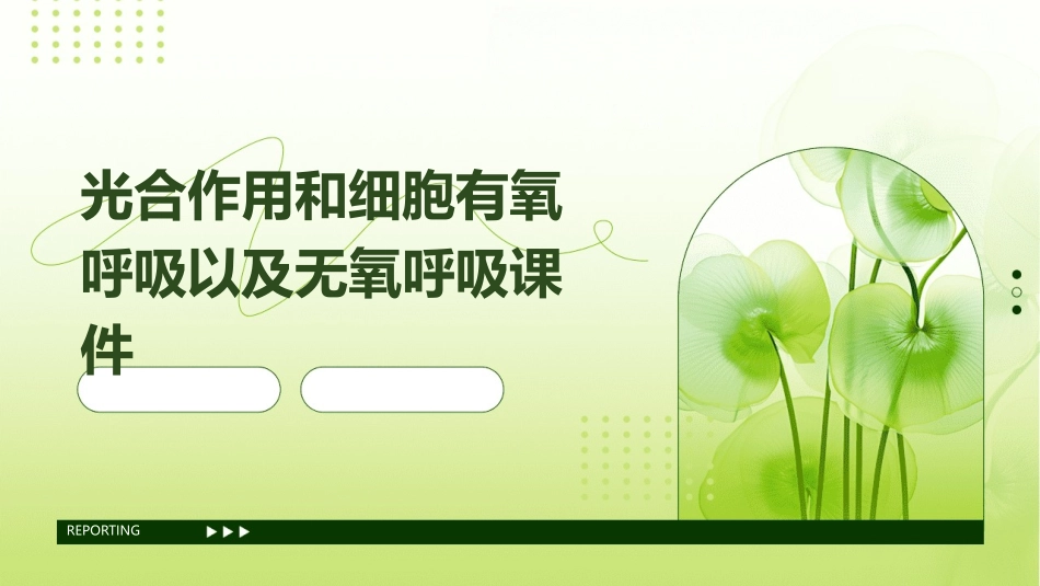 光合作用和细胞有氧呼吸以及无氧呼吸课件_第1页
