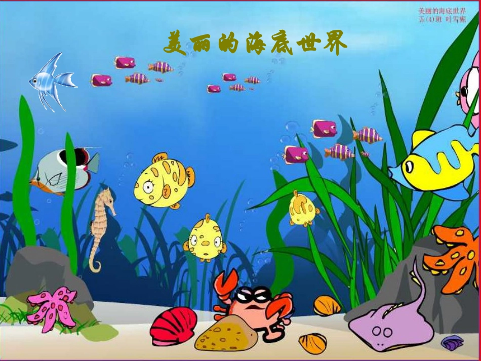 《寻找有生命的物体》讲课[1]_第2页