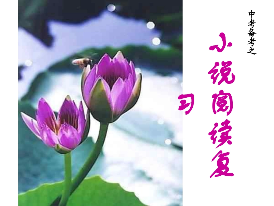 中考语文小说阅读课件_第1页