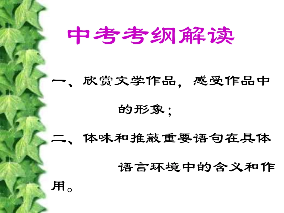 中考语文小说阅读课件_第2页
