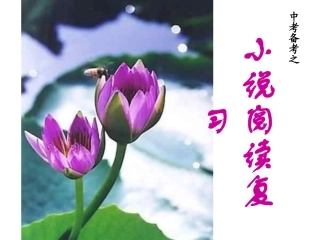 中考语文小说阅读课件