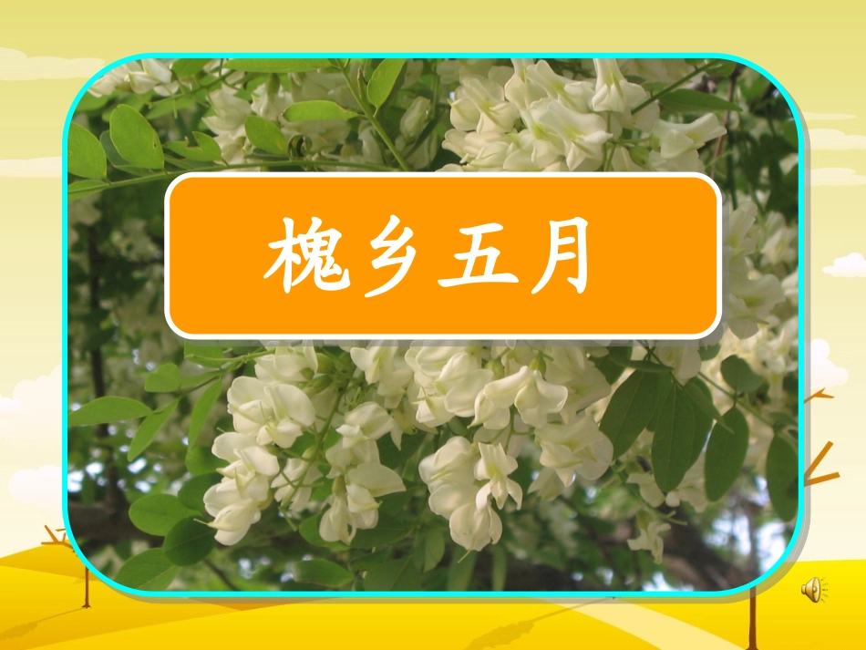 苏教版三下《槐乡五月》_第2页