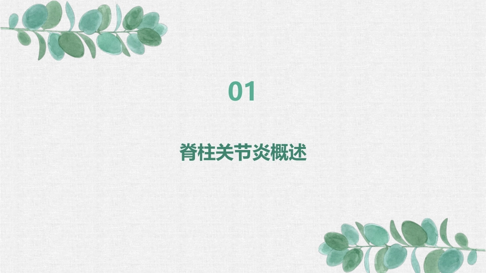 脊柱关节炎诊断与治疗的最新进展课件 (2)_第3页