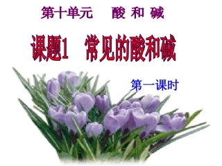 课题1+常见的酸和碱(第一课时)