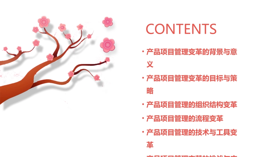 产品项目管理变革课件_第2页
