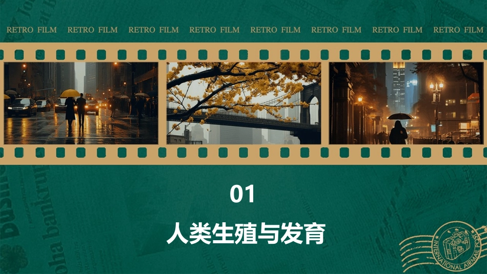 人类与动物的生殖与发育课件_第3页