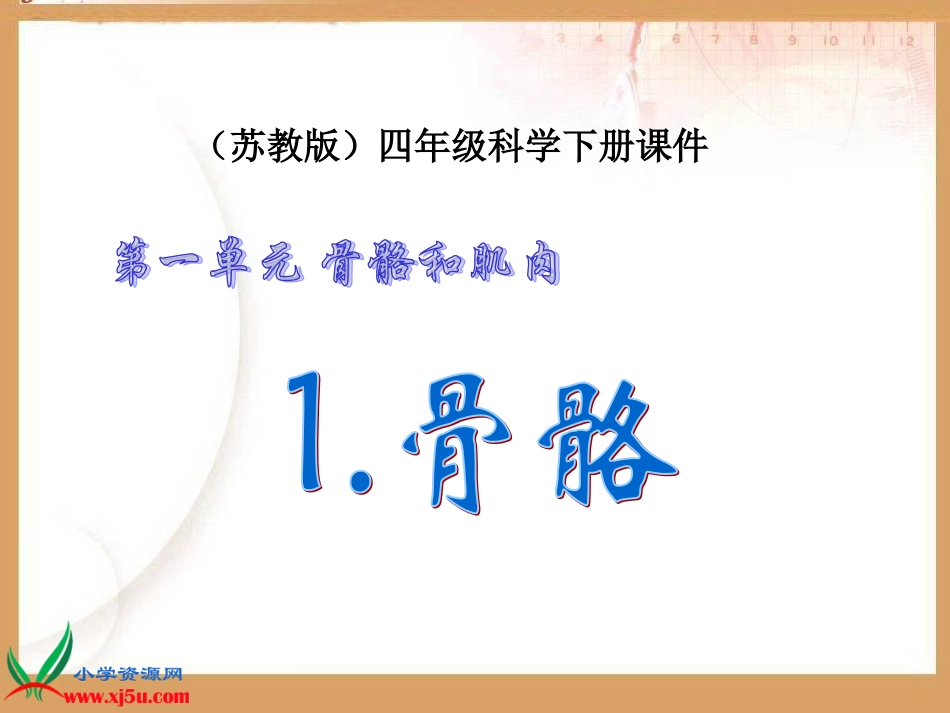 （苏教版）四年级科学下册课件11骨骼(2)_第1页