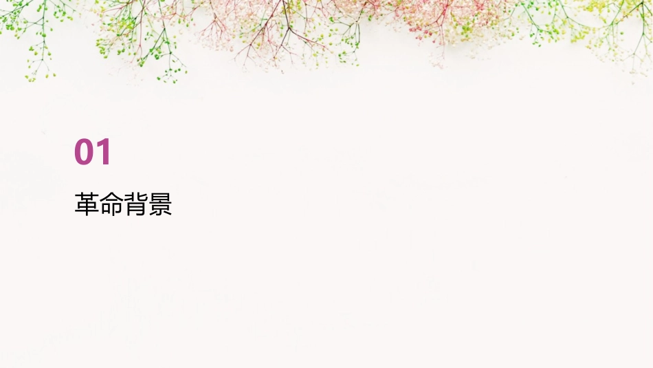 永不褪色的记忆讲革命故事课件_第3页