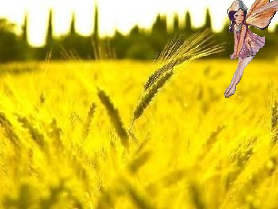 真想变成大大的荷叶 (2)_第2页