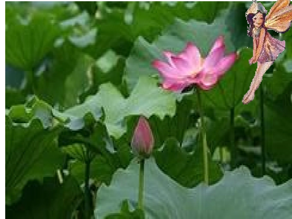 真想变成大大的荷叶 (2)_第3页