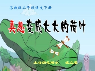 真想变成大大的荷叶 (2)