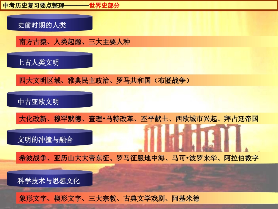 中考复习世界史_第3页