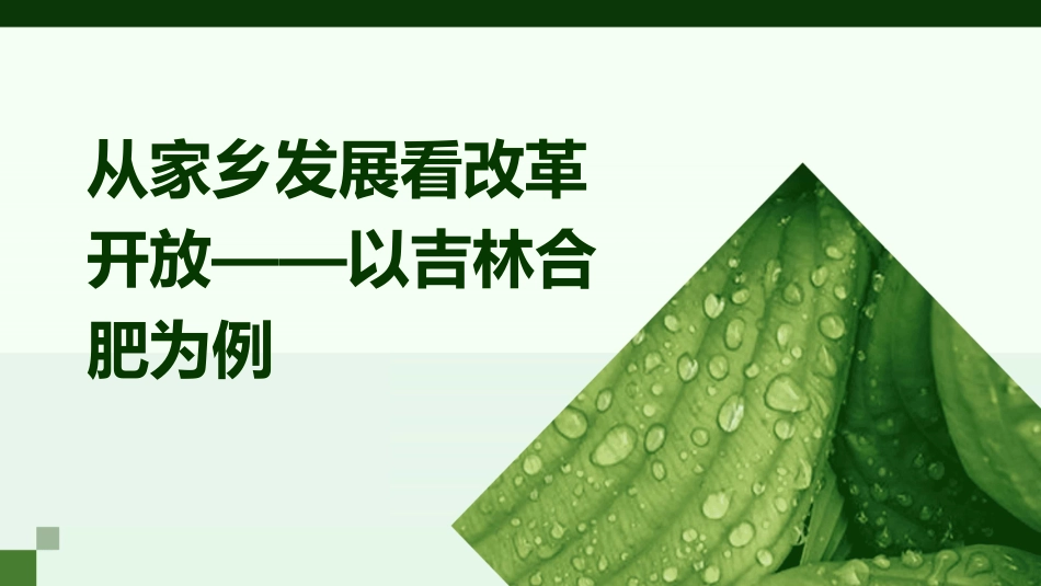从家乡发展看改革开放以吉林合肥为例课件_第1页