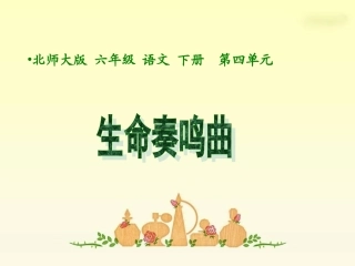六年级语文下册生命奏鸣曲PPT课件北师大版