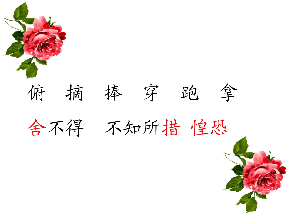 花瓣飘香 (3)_第2页