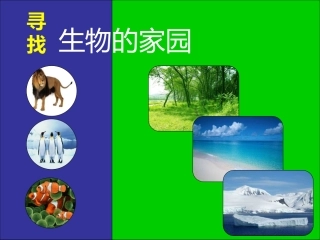 寻找生物的家园3