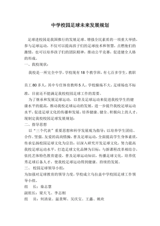 中学校园足球未来发展规划