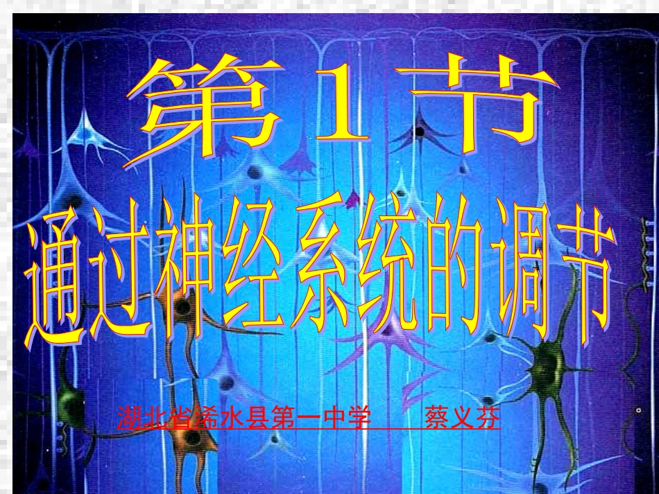 神经调节（4）讲课用_第1页