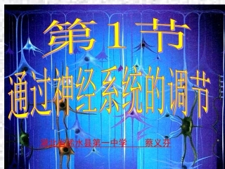 神经调节（4）讲课用