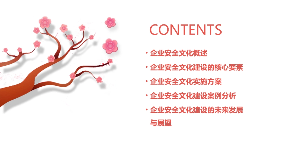 企业安全文化建设与实施方案探讨_第2页