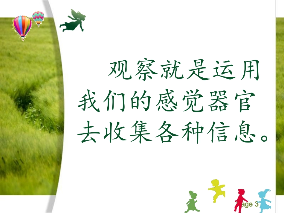 简城三小陈小应《观察》课件上课用_第3页