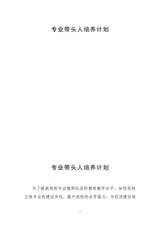 专业带头人培养计划