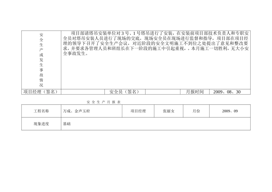 安-全-生-产-月-报-表_第3页