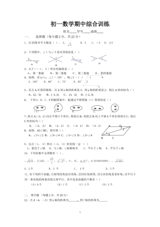 初一数学期中考综合训练