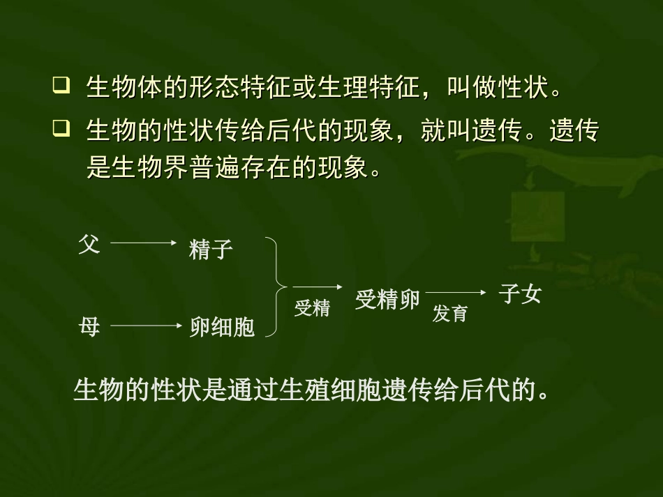 八年级生物《生物的遗传》课件_第3页
