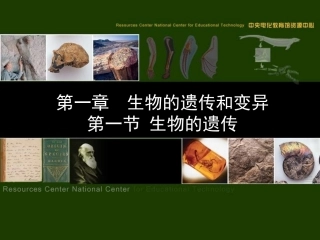 八年级生物《生物的遗传》课件