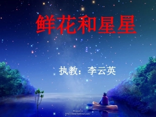 鲜花和星星 (2)