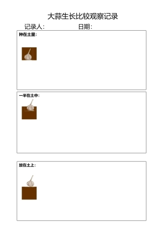 幼儿园种植角-大蒜生长比较观察记录表